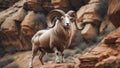 A ram standing on top of a rock with large horns Royalty Free Stock Photo
