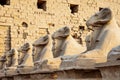 The Ram statues in front of Karnak Temple, Luxor, Egypt Royalty Free Stock Photo