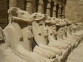 Ram statues at Karnak Temple, Luxor / Egypt Royalty Free Stock Photo