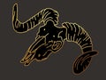 a ram's skull. graphic illustration with golden lines on a dark background