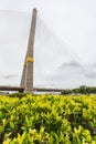Rama8 Bridge, Thailand Royalty Free Stock Photo