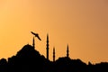 Ramadan or islamic concept photo. Silhouette of Suleymaniye Mosque with seagull Royalty Free Stock Photo