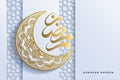 ramadan kareem greeting card with islamic ornament vector illustration