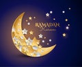 Ramadan kareem magic night background vector