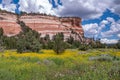 Ramah Cliffside Field of Flowers Royalty Free Stock Photo