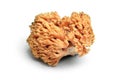 Ramaria formosa mushroom