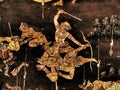 Ramayana mural paintings of , alien battles gods and chimera on walls of kings palace Bangkok, Thailand