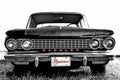 Rambler Royalty Free Stock Photo