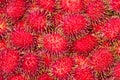 Rambutan 2