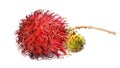 Rambutan, dragon eye - tropical fruit