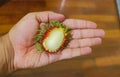 Rambutan exotic fruit