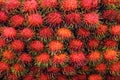 Rambutan fresh, rambutans fruit many for background, rambutan sweet delicious fruit, red healthy fruits rambutan, rambutans sweet Royalty Free Stock Photo