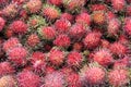 Rambutan fruit Royalty Free Stock Photo