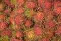 Rambutan fruit display at the market Royalty Free Stock Photo