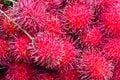 Rambutan Fruit Display For Sell On Small Street In Malwana