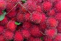 Rambutan Fruit Display For Sell On Small Street In Malwana