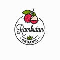 Rambutan fruit logo. Linear of rambutan slice Royalty Free Stock Photo