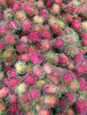 Rambutan fruit natural food vegetables natural holidays travel background trip outdoor holidays travel background natural