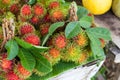 Rambutan fruit, Thailand.