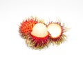 Rambutan fruit on trunk in the gardensweet delicious fruit isolated on white background. Royalty Free Stock Photo