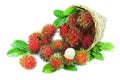 Rambutan fruits