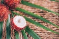 Rambutan fruits with palm leaves on rattan background. Top view. Copy space. Tropical fruit. Nephelium lappaceum. Flat lay. Exotic Royalty Free Stock Photo