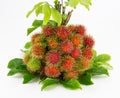 Rambutan