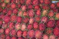 Rambutan Royalty Free Stock Photo