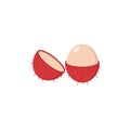 Rambutan icon design template vector isolated illustration Royalty Free Stock Photo