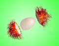 Rambutan isolated from the shell on the green blackground.