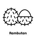 Rambutan linear icon, Vector, Illustration. Royalty Free Stock Photo