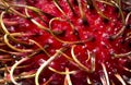 Rambutan macro Royalty Free Stock Photo