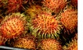 Rambutan, Nephelium lappaceum Royalty Free Stock Photo