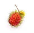 Rambutan red tropical fruit Royalty Free Stock Photo