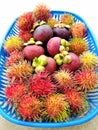 Bunch of Organic Fresh Rambutan & Mangosteen Fruits