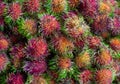 Rambutan. Sweet exotic tropical fruit. fruit. Asia, Vietnam, food market Royalty Free Stock Photo