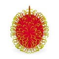 Rambutan vector isolated