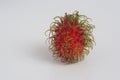 Rambutan on white background with copy space for text Royalty Free Stock Photo