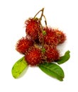 Rambutans Royalty Free Stock Photo