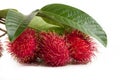 Rambutans fruit with leaf isolated on white background. Royalty Free Stock Photo