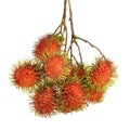 Rambutans fruit with leaf on white background. Royalty Free Stock Photo