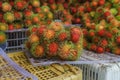 Rambutans fruit Royalty Free Stock Photo