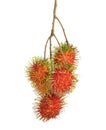 Rambutans fruit with leaf on white background. Royalty Free Stock Photo