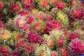 Rambutans in fruits buffet festival at shop in Rayong, Thailand