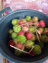 Rambutans Fruits is a fruit from Indonesia