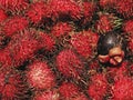 Rambutans and Purple mangosteen