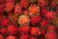 Rambutans tropical summer asian fruit