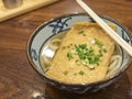 Ramen or Japanese noodles topping with deep fried tofu and scallions in clear soup Royalty Free Stock Photo