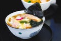 Ramen Pork Bone Soup Tonkotsu Ramen with Chashu Pork, Scallion, Wanton, Menma Seasoned Bamboo Shoots, Dried Seaweed