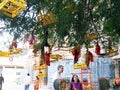 Rameshwaram tree